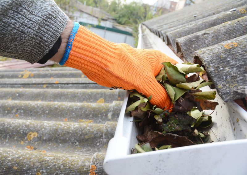 Business Gutter Cleaning in Mcdonough, GA