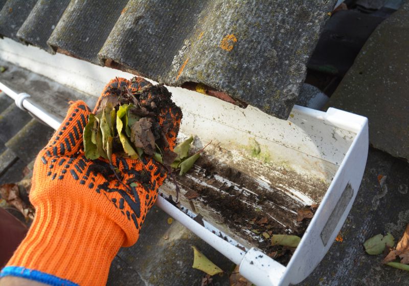 Clogged Gutter Clearing in Pittsburgh, PA