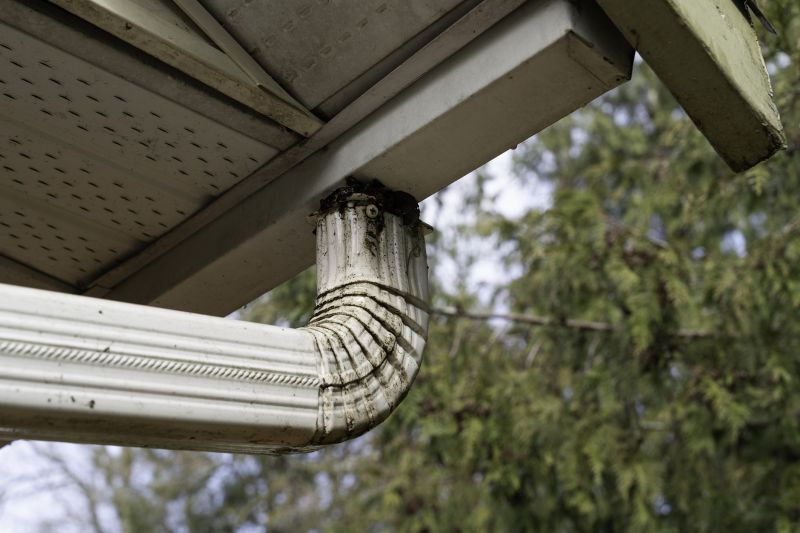 Eavestrough Clearing in Westchester County, NY