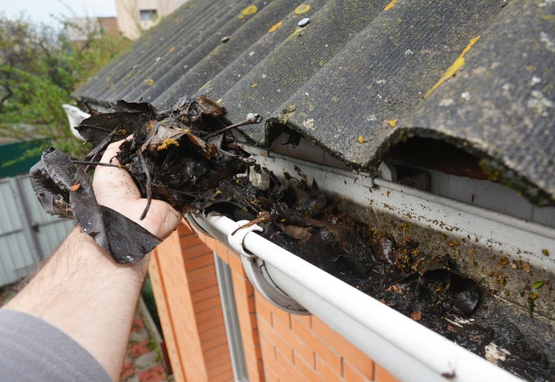 Gutter Blockage Removal in Baltimore, MD