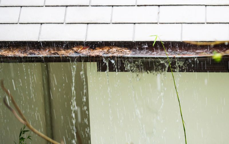 Gutter Blockage Removal in Annapolis, MD