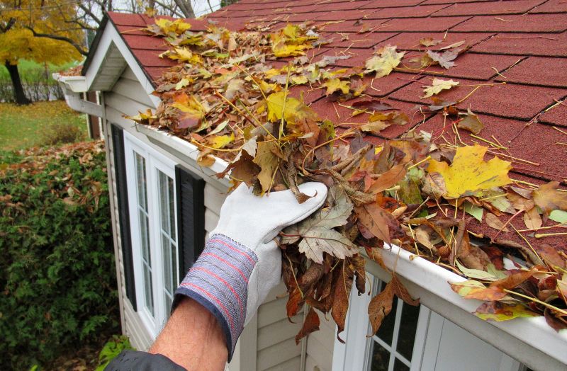Gutter Blockage Removal in Longmont, CO