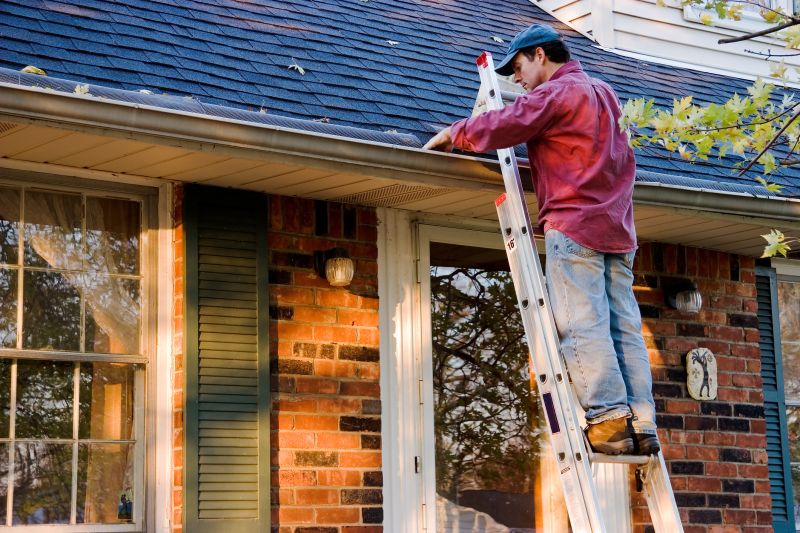 Gutter Cleaning in Longmont, CO