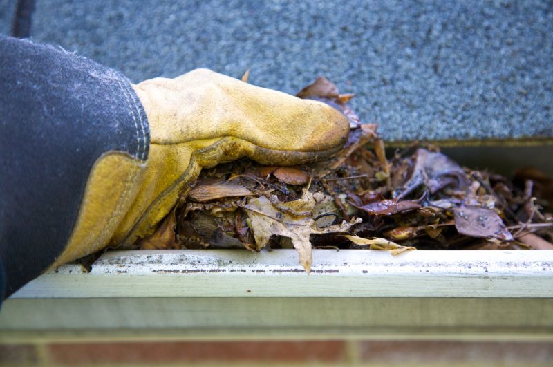 Gutter Cleaning in Rochester, NY