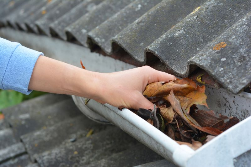 Gutter Leaf Clearing in Bergen County, NJ
