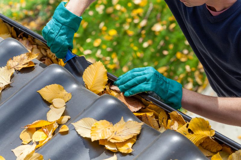 Gutter Leaf Clearing in Long Island, NY