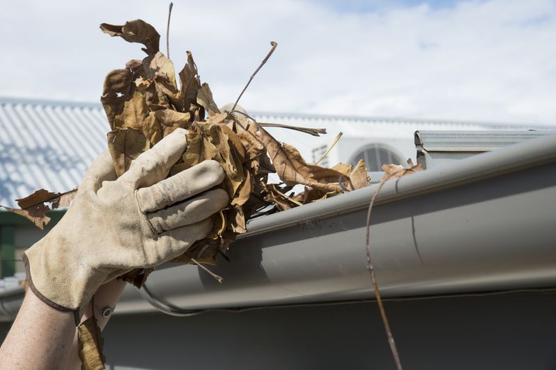Gutter Leaves Removal in Annapolis, MD
