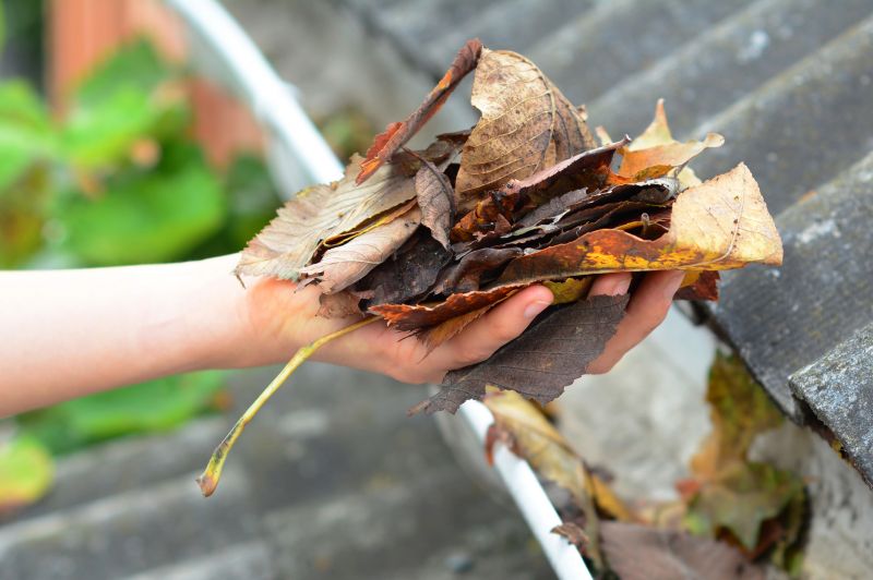 Gutter Leaves Removal in Annapolis, MD