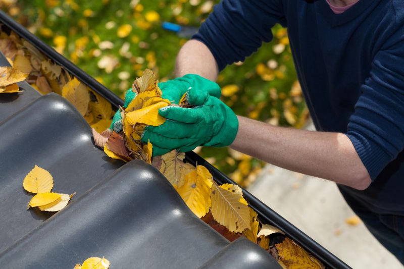Gutter Leaves Removal in Boulder, CO