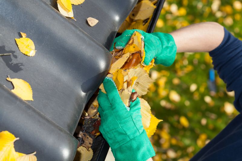 Gutter Leaves Removal in Frederick, MD