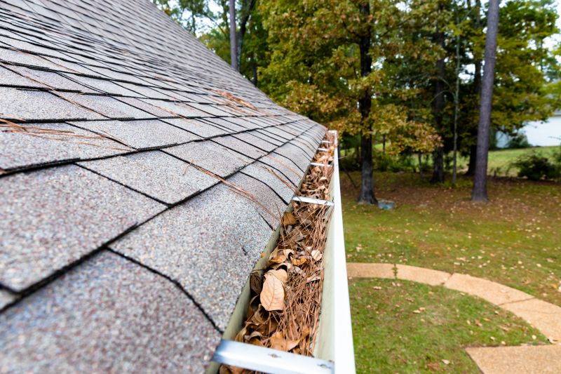 Gutter Pine Needle Removal in Richmond, VA