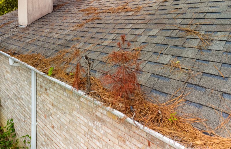 Gutter Pine Needle Removal in Richmond, VA