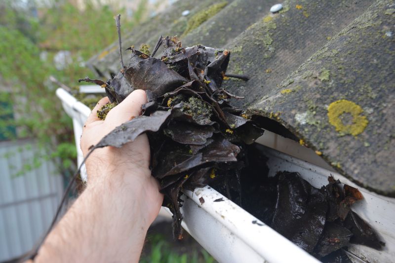 Gutter Pine Needle Removal in Richmond, VA