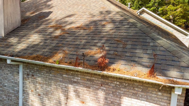 Gutter Pine Needle Removal in Annapolis, MD