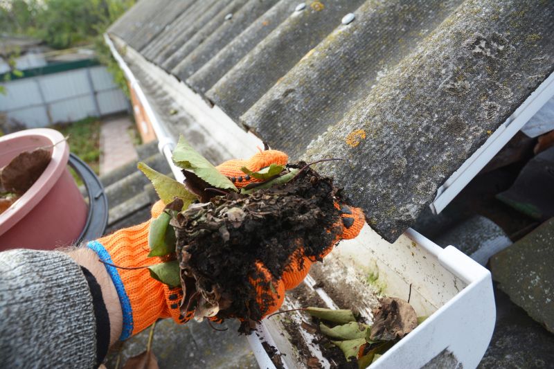 Rain Gutter Clearing in Richmond, VA